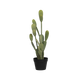 41 cm
