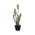 Kaktus Opuntia Künstlich H: 41cm Finestgreen [mc]
