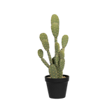 Kaktus Opuntia Künstlich H: 72 cm Finestgreen [mc]