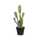 Kaktus Opuntia Künstlich H: 72 cm Finestgreen [mc]