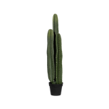 Kaktus San Pedro Künstlich Finestgreen [mc]