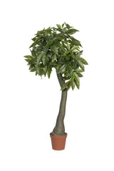 Pachira Kunstpflanze L 170cm - Finestgreen