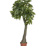 Pachira Kunstpflanze L 170cm - Finestgreen