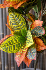 Codiaeum Wunderstrauch Künstlich H: 80cm - Finestgreen