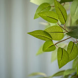 Ficus Baum Künstlich H: 180cm - Finestgreen