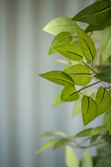 Ficus Baum Künstlich H: 150cm - Finestgreen