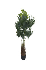 Palme Künstlich H: 160cm - Finestgreen [mc]