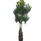 Palme Künstlich H: 160cm - Finestgreen [mc]