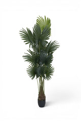 Palme Künstlich H: 200cm - Finestgreen [mc]