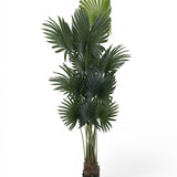 Palme Künstlich H: 200cm - Finestgreen [mc]