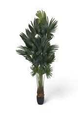 Finestgreen künstliche Palme, 220cm hoch, mit biegbaren dunkelgrünen Wedeln in schwarzem Topf. [mc]