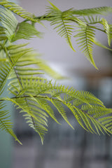 Farne Künstlich H: 180cm - Finestgreen