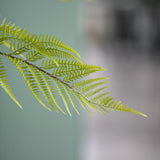 Farne Künstlich H: 120cm - Finestgreen