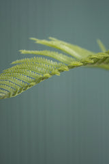 Farne Künstlich H: 180cm - Finestgreen