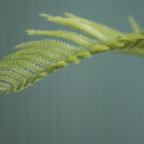 Farne Künstlich H: 150cm - Finestgreen