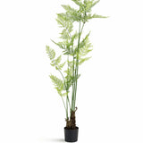 Farne Künstlich H: 200cm Finestgreen [mc]