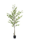Enkianthus perulatus künstlich, H: 210cm