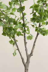 Ginko Biloba Baum Kunstpflanze L 180cm - Finestgreen