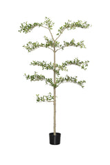 Buchida Bucera Shady Lady Baum Kunstpflanze L 180cm - Finestgreen