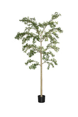 Buchida Bucera Shady Lady Baum Kunstpflanze XL 280cm - Finestgreen