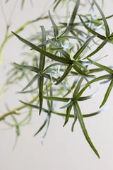 Queensland bottle Baum Kunstpflanze L 200cm - Finestgreen