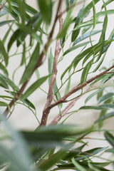 Ficus Alii Baum Kunstpflanze L 180cm - Finestgreen