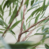 Ficus Alii Baum Kunstpflanze L 180cm - Finestgreen