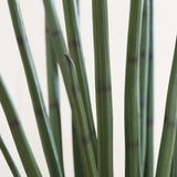 Sansevieria Cylindrica Kunstpflanze M 120cm - Finestgreen