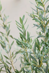 Olivenbaum Kunstpflanze XL 240cm - Finestgreen