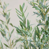 Olivenbaum Kunstpflanze XL 240cm - Finestgreen