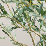 Olivenbaum Kunstpflanze XL 240cm - Finestgreen