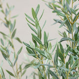 Olivenbaum Kunstpflanze XL 240cm - Finestgreen