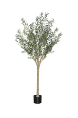 Olivenbaum Kunstpflanze XL 240cm - Finestgreen