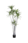 Dracaena Marginata künstlich, H: 230cm