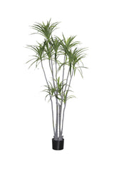 Dracaena Marginata Kunstpflanze XL 230cm - Finestgreen