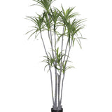 Dracaena Marginata Kunstpflanze XL 230cm - Finestgreen
