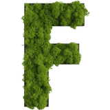 Islandmoos Piktogramm Buchstabe Finestgreen 