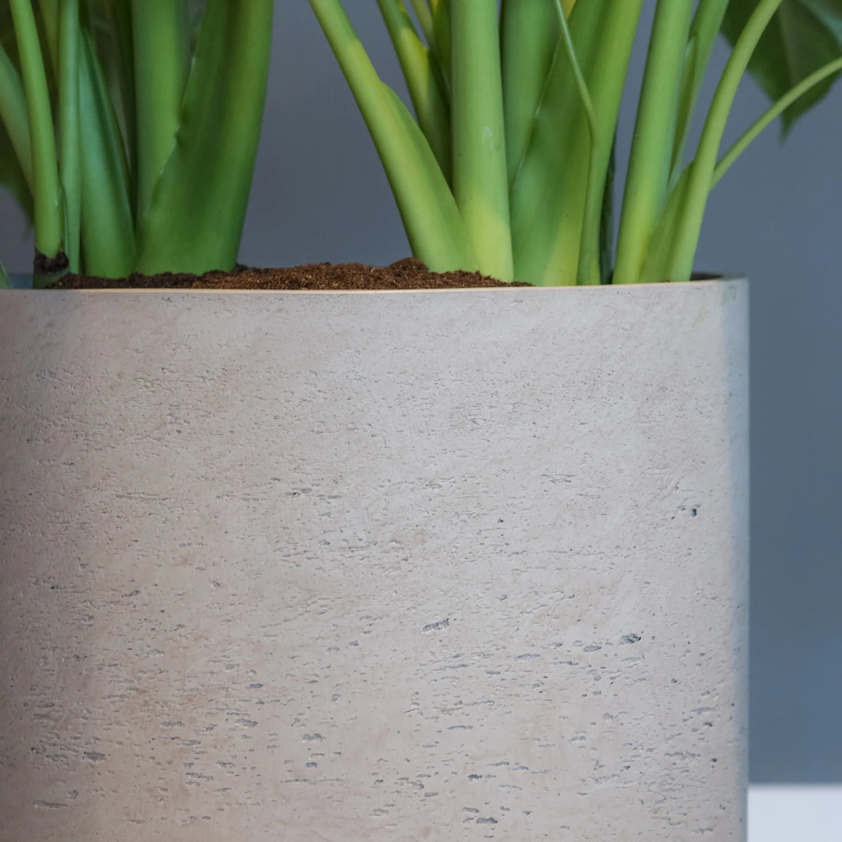 Material – Fiberclay
