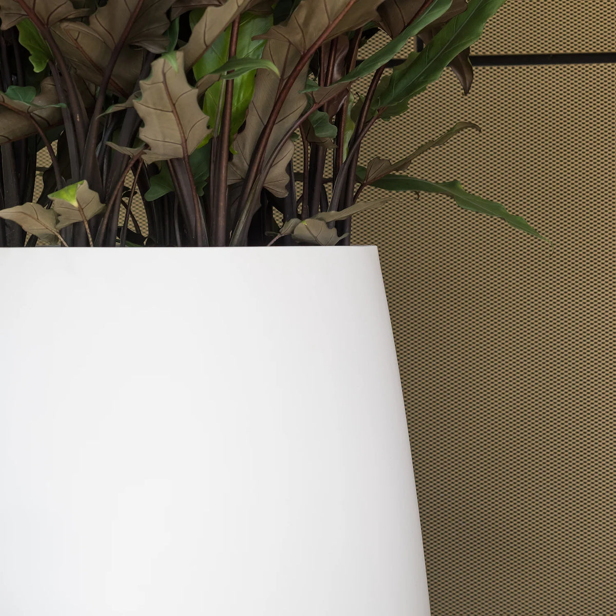 Material – Fiberstone