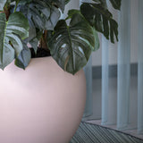 Monstera Pertusum Kunstpflanze L 140cm - Finestgreen