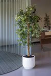 Ficus Benjamina künstlich, H: 120cm