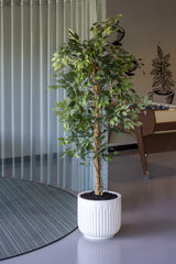 Ficus Baum Künstlich H: 120cm - Finestgreen