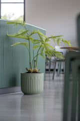 Farne Künstlich H: 120cm - Finestgreen