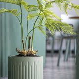 Farne Künstlich H: 120cm - Finestgreen