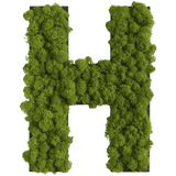 Islandmoos Piktogramm Buchstabe Finestgreen 