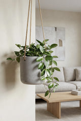 Hanging Charlie Grau Blumenampel aus Fiberclay in Beton-Optik || Robustes Topfmaterial | inkl. Metallring & Kordel