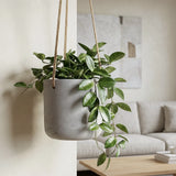 Hanging Charlie Grau Blumenampel aus Fiberclay in Beton-Optik || Robustes Topfmaterial | inkl. Metallring & Kordel
