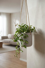 Hanging Charlie Grau Blumenampel aus Fiberclay in Beton-Optik || Abgebildete Größe: S