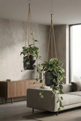 Hanging Charlie Set Schwarz – 2er Blumenampel-Set aus Fiberclay Größen XS & S || Abgebildete Größen: XS & S