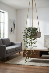 Hanging Eileen Grau Blumenampel aus Fiberclay hängend